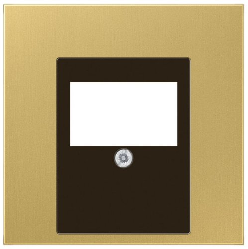 Лицевая панель Jung LS990 metal для 2-м. розетки USB/аудио латунь картинка